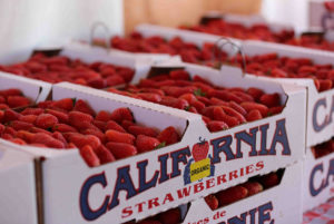 CaStrawberryFestival_Boxes_Berries_sized