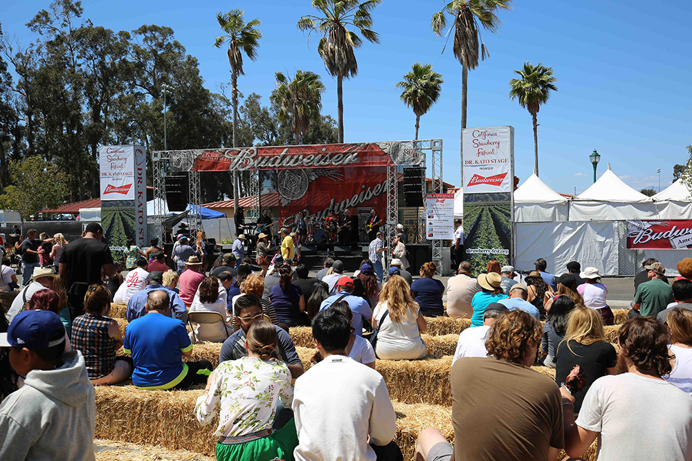 Festival Stage