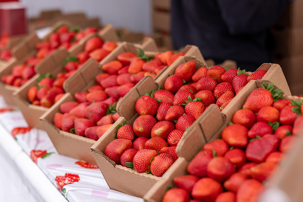 Strawberries in flat boxes